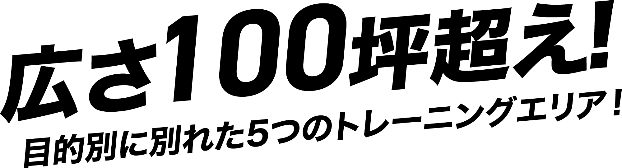 広さ100坪超え! 目的別に別れた5つのトレーニングエリア！